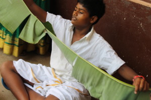 Tearing banana leaves for plates